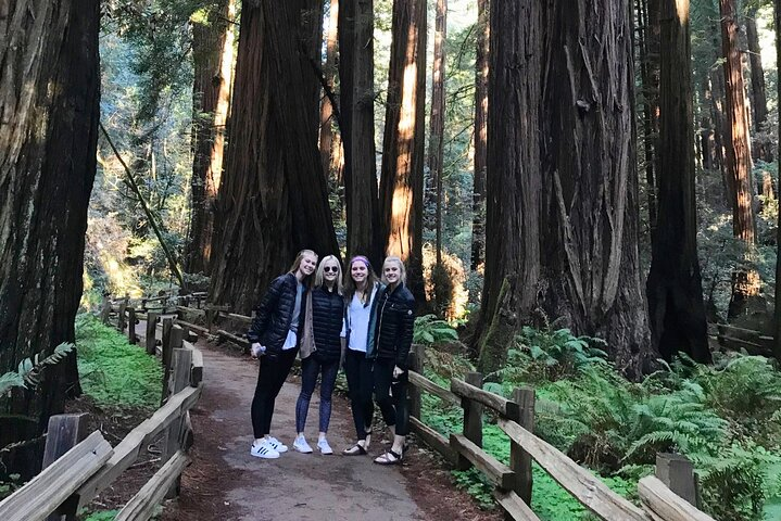 Stand among towering redwoods surrounded by tranquil trails and lush greenery perfect for creating unforgettable memories in nature's majestic embrace. Explore the beauty of Muir Woods and beyond.